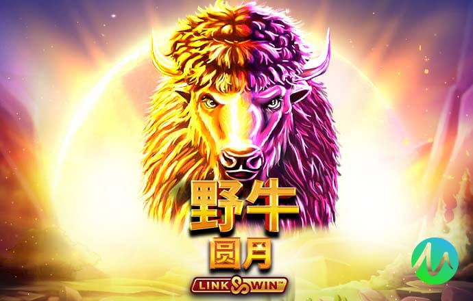 银河加速器app官方下载